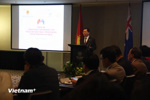 Bộ trưởng Bộ Công Thương Vũ Huy Hoàng phát biểu tại Diễn đàn. (Ảnh: Khánh Linh/Vietnam+)