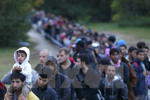 Người di cư vượt qua cửa khẩu biên giới tại Zakany, Hungary ngày 16/10/2015. (Nguồn: Reuters/TTXVN)
