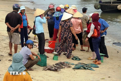 Người dân lo lắng khi thấy cá chết bất thường trôi dạt vào vùng biển Quảng Trị. (Ảnh: Trần Tĩnh/TTXVN)