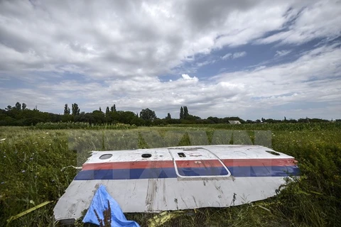 Mảnh vỡ máy bay MH17 gần làng Grabove, vùng Donetsk, miền Đông Ukraine. (Nguồn: AFP/TTXVN)