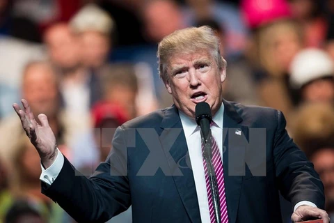 Tỷ phú Donald Trump trong chiến dịch vận động tranh cử ở Charleston, Tây Virginia ngày 5/5. (Nguồn: AFP/TTXVN)