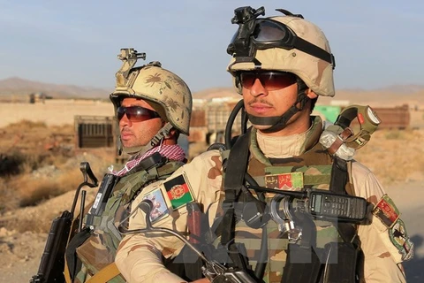 Binh sỹ Afghanistan tham gia chiến dịch truy quét khủng bố tại tỉnh miền đông Ghazni. (Nguồn: THX/TTXVN)