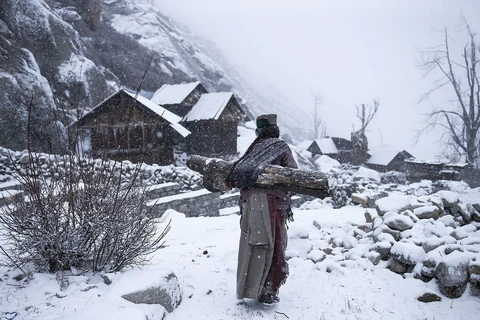 Ở chủ đề con người, giải ba thuộc về Mattia Passarini với bức ảnh miêu tả cuộc sống khó khăn của một phụ nữ ở làng Mimachal Pradesh, Ấn Độ.