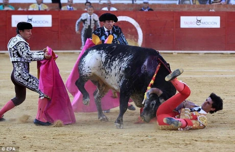 Victor Barrio bị con bò tót hạ gục. (Nguồn: EPA)