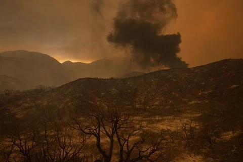 Vụ cháy gần thung lũng Santa Clarita. (Nguồn: AFP)