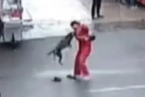 Cọn chó tấn công người đàn ông. (Nguồn: CCTV)