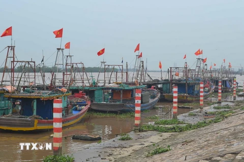 Tàu thuyền của ngư dân về neo đậu tránh bão số 3 tại Khu neo đậu tàu thuyền xã Thái Đô, huyện Thái Thụy. (Ảnh: Thu Hoài/TTXVN)