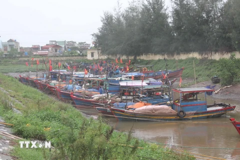 Tàu thuyền của ngư dân huyện Thái Thụy tránh trú bão tại cảng cá Tân Sơn trên địa bàn. (Ảnh: Xuân Tiến/TTXVN) 