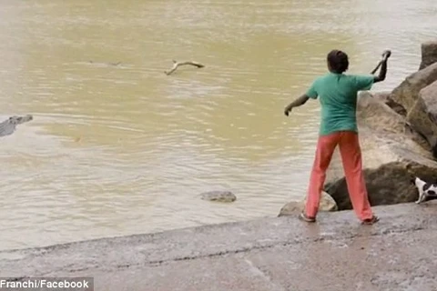 Người phụ nữ liều mình tấn công cá sấu khổng lồ để bảo vệ chó cưng