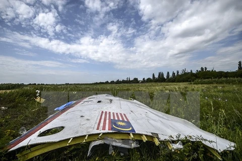 Mảnh vỡ máy bay MH17 tại khu vực gần làng Grabove, Donetsk, Ukraine. (Nguồn: AFP/TTXVN)