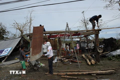 Bão Haima gây hậu quả nghiêm trọng ở Philippines. (Nguồn: AFP/TTXVN)