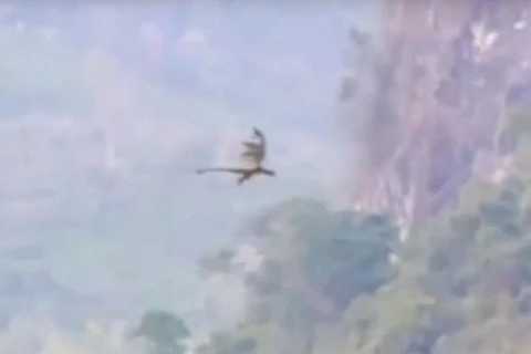 Thực hư chuyện con rồng bay qua biên giới Trung Quốc và Lào