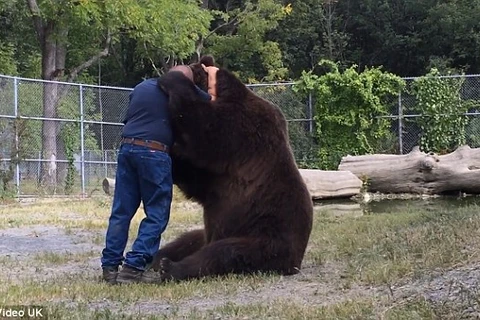 [Video] Gấu nâu ôm chặt người bạn ở trung tâm cứu hộ không rời
