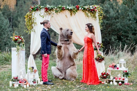 Chú gấu Stepan nặng 140 kg, cao 2,1 m. (Nguồn: Caters News Agency)