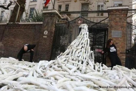 Nhóm người gây rối xếp các cánh tay manơcanh thành đống bên ngoài Đại sứ quán Nga. (Nguồn: Russian Embassy UK)
