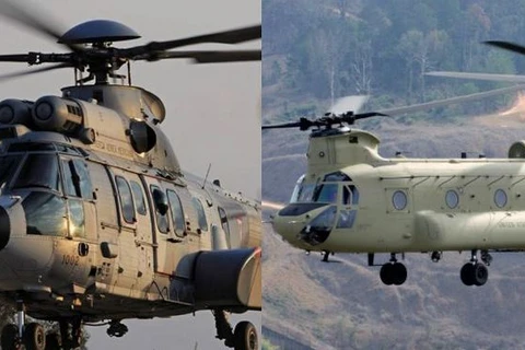 Máy bay trực thăng H225M và CH47-F. (Nguồn: US Army)