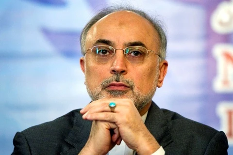 Giám đốc Tổ chức Năng lượng Nguyên tử Iran Ali Akbar Salehi. (Nguồn: Tehrantimes)