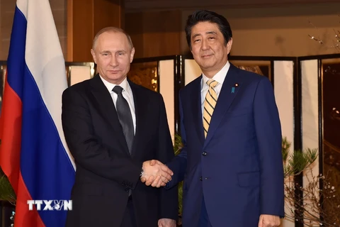 Thủ tướng Nhật Bản Shinzo Abe (phải) đã có cuộc hội đàm với Tổng thống Nga Vladimir Putin. (Nguồn: AFP/TTXVN)