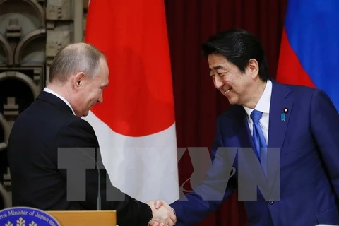 Tổng thống Nga Vladimir Putin (trái) và Thủ tướng Nhật Bản Shinzo Abe (phải) trong cuộc họp báo ở Tokyo ngày 16/12. (Nguồn: AFP/TTXVN)