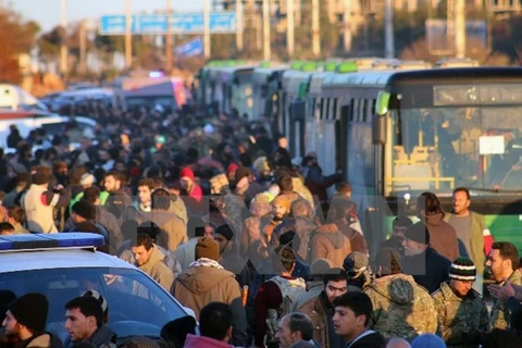 Đoàn đưa người dân sơ tán khỏi miền đông Aleppo ngày 15/12. (Nguồn: AP/TTXVN)