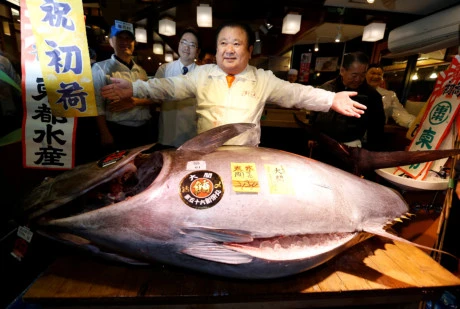 Ông Kimura bên con cá ngừ khổng lồ. (Nguồn: Reuters)