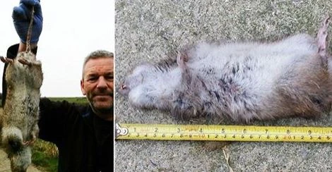 Ông Terry bên con chuột dài tới 48cm. (Nguồn: Daily Mail)