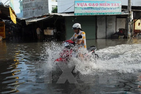 [Video] Thành phố Hồ Chí Minh có nguy cơ ngập sâu do triều cường