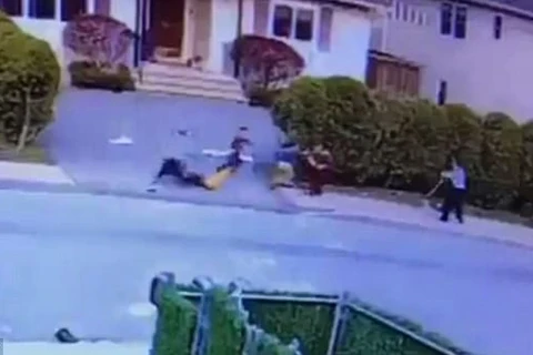 [Video] Rùng mình cảnh chó pit bull lao vào cắn bé trai ba tuổi