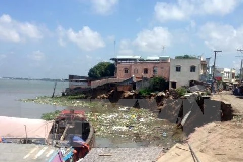 [Video] Sạt lở đất ở bờ sông Hậu còn diễn biến nghiêm trọng