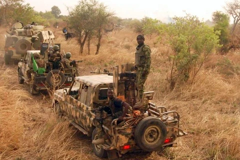 Quân đội Nigeria. (Nguồn: premiumtimesng.com)