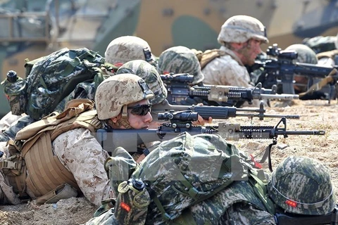 Lính thủy đánh bộ Mỹ và Hàn Quốc diễn tập đổ bộ trên bãi biển trong một cuộc tập trận chung Mỹ-Hàn Quốc. (Nguồn: AFP/TTXVN)