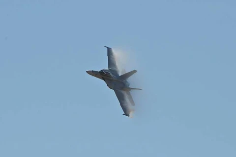 Máy bay chiến đấu Super Hornet. (Nguồn: ottawacitizen)