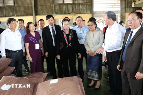 Chủ tịch Quốc hội Nguyễn Thị Kim Ngân và Chủ tịch Quốc hội Lào Pany Yathotou thăm khu nguyên liệu. (Ảnh: Trọng Đức/TTXVN)