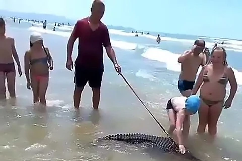 Người đàn ông bị bắt giữ vì dắt cá sấu dọc bãi biển để kiếm tiền
