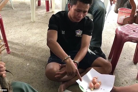 Seuksongkram giấu ma túy vào bụng hai con gà. (Nguồn: ViralPress)
