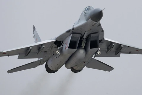 Máy bay chiến đấu MiG-29. (Nguồn: Sputnik)