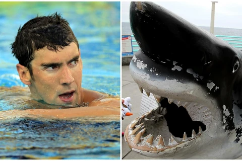 Michael Phelps bị chỉ trích khi tham gia cuộc đua ảo. (Nguồn: Los Angeles Times)