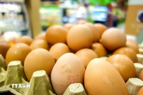Trứng được bày bán tại Lille, Pháp ngày 11/8. (Nguồn: AFP/TTXVN)