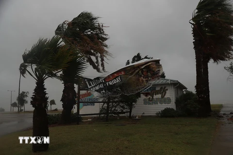 Gió lớn do ảnh hưởng của bão Harvey tại Corpus Christi, Texas, Mỹ ngày 25/8. (Nguồn: AFP/TTXVN)