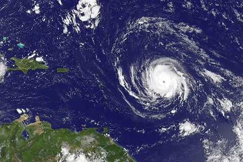 Đường đi của bão Irma. (Nguồn: Getty)