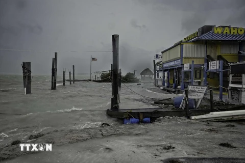 Mưa to gió lớn sau khi bão Irma đổ bộ vào quần đảo Florida Keys ngày 9/9. (Nguồn: AFP/TTXVN)