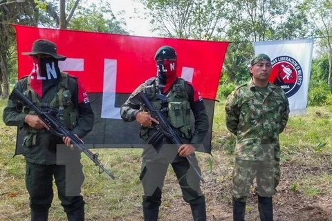Nhóm phiến quân Quân đội Giải phóng quốc gia (ELN) ở Colombia. (Nguồn: EPA/TTXVN)