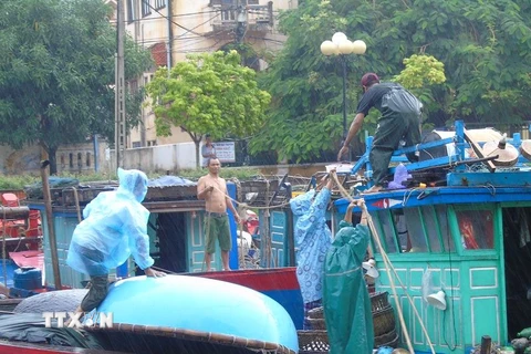 Ngư dân Quảng Bình đang neo đậu, gia cố tàu thuyền an toàn...trước khi bão đổ bộ vào bờ. (Ảnh: Võ Dung/TTXVN)