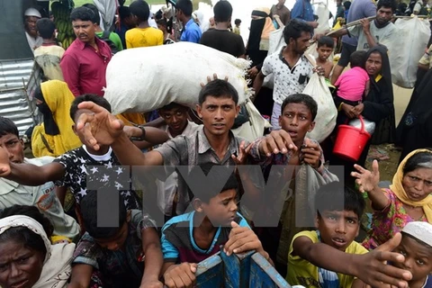 Người Hồi giáo Rohingya từ Myanmar chờ nhận hàng cứu trợ tại thị trấn Teknaf, Bangladesh ngày 12/9. (Nguồn: AFP/TTXVN)