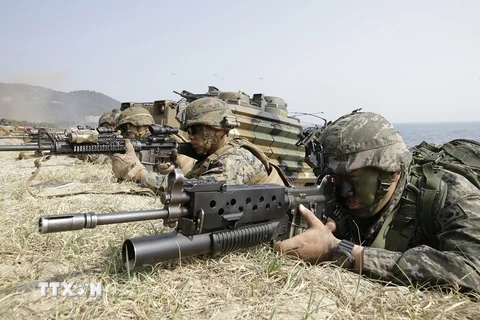 Lính thủy đánh bộ Mỹ tập trận chung với binh sỹ Hàn Quốc tại bờ biển Pohang. (Nguồn: Getty Images/ TTXVN)