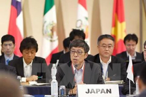 Trưởng đoàn đàm phán Nhật Bản Kazuyoshi Umemoto. (Ảnh: Kyodo/TTXVN)