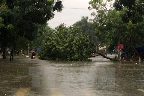 Nhiều tuyến đường ở Quảng Ngãi ngập nặng do mưa lũ. (Ảnh: Phước Ngọc/TTXVN)