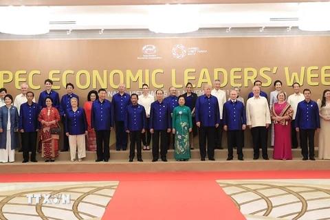 Chủ tịch nước và các nhà lãnh đạo kinh tế APEC chụp ảnh lưu niệm 