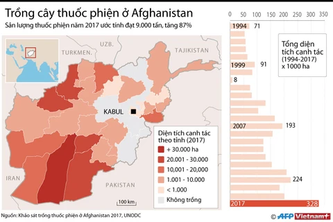 [Infographics] Choáng váng với số lượng cây thuốc phiện ở Afghanistan