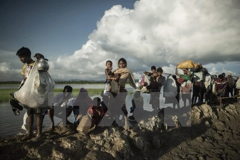 Người tị nạn Rohingya từ Myanmar chạy nạn sang Whaikhyang, Bangladesh ngày 9/10. (Nguồn: AFP/TTXVN)